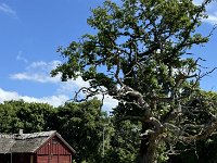 Radreise Kattegattleden-248
